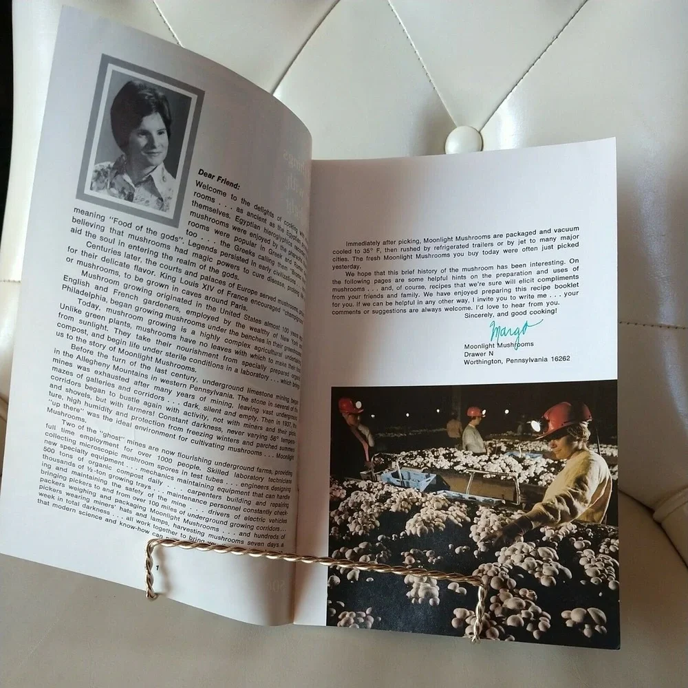 Good Things To Eat With Moonlight Mushrooms Vintage‎ Cookbook Pamphlet Booklet